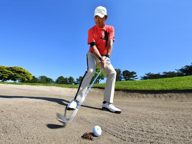 画像: 松ぼっくりが砂に埋もれている状態は地面の一部とみなして、取り除けない