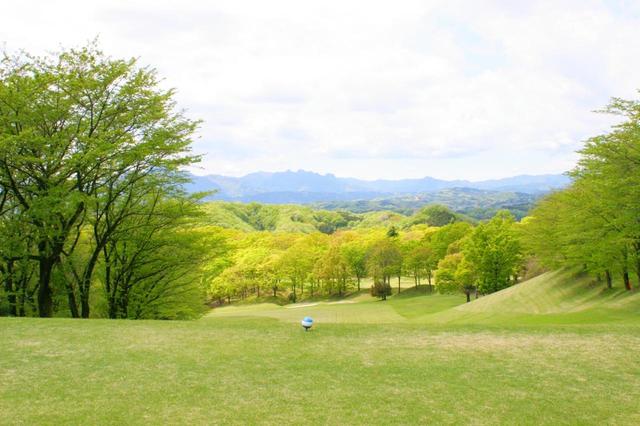 画像: 9番ホール(483Y・P4)