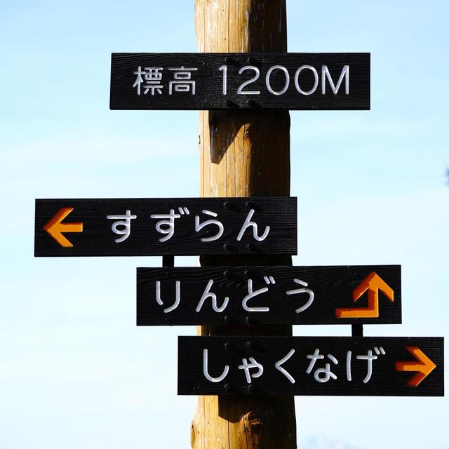 画像: リゾートでも手ごたえ十分。距離があり、気の抜けないホールがつづく。1.5ラウンドは要予約