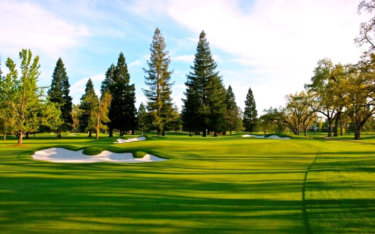 画像2: シルバラード ノースコース(7166Y・P72) サウスコース(6612Y・P72)