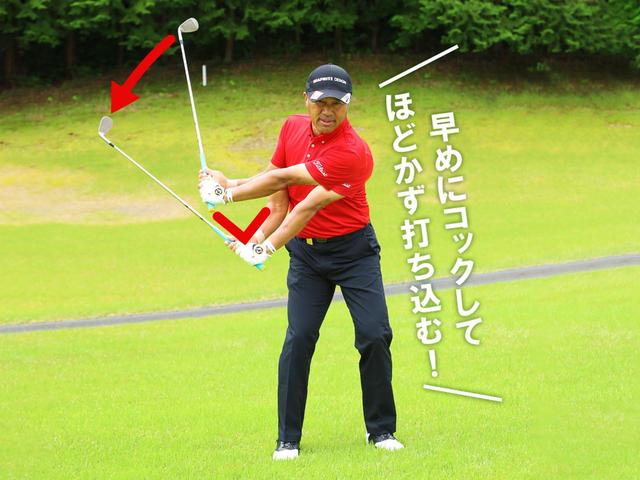 画像1: 【完全に沈んでいるライ】コックを使ってトンと落とす