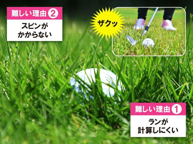 画像: 深いラフだと、ボールが見えないくらいすっぽり沈んでしまう。芝の抵抗が強くなるので、強く打ち込んだり、突っ込みもミスにつながる原因