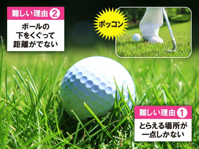 画像: 芝が長く密集していると、ラフの上に浮いて止まることがある。ティアップされた状態だが、アプローチに関 して言えばそれが難しくさせている原因