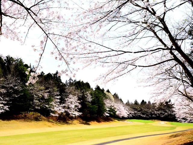画像: 西コース6番ホール/588㍎/パ−5 右ドッグレッグ、左はOB。「右の林ギリギリにフェードで攻めるのが理想」と宮里優作プロ
