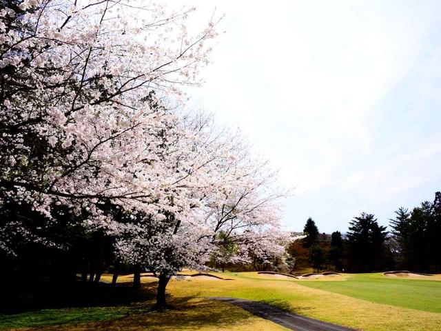 画像: 西コース9番ホール/508㍎/パ−4 西のアウトで最もタフなパー4。ティショットをしっかりフェアウェイに置いておきたい