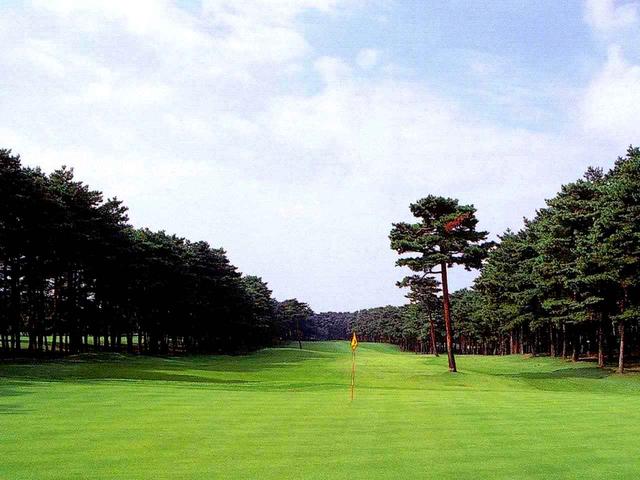 画像: 8番ホール/407㍎/パー4(加治川)やや距離のあるホール。グリーン左手前の松の木はスタイミーになる