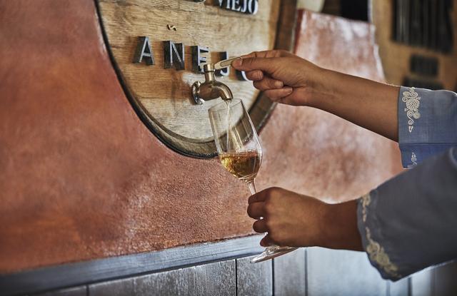 画像: テキーラの試飲にもチャレンジしてみては!?