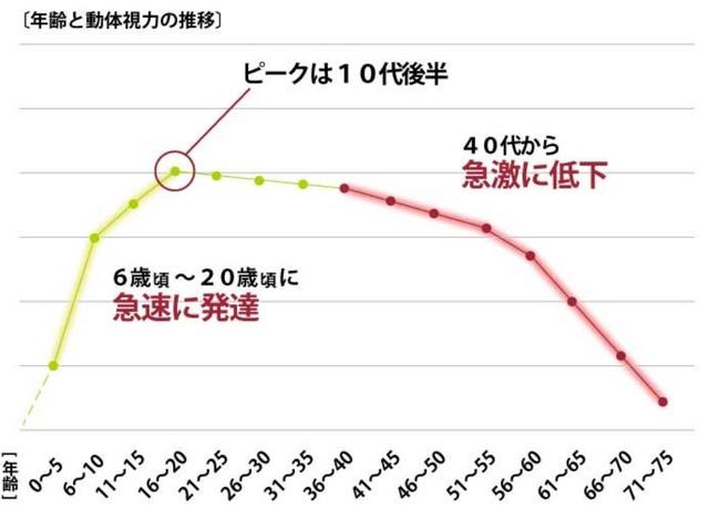 画像: “見る力”は就学年齢の時期に急発達し、20 歳前後でピークに。その後、加齢とともにゆるやかに低下し、40 代から急激に衰えていく