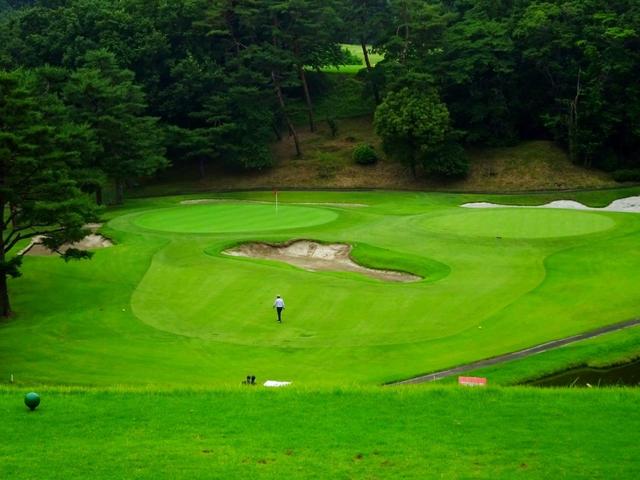 画像: クラシカルな小さめの2グリーン。芝種はどちらもベント
