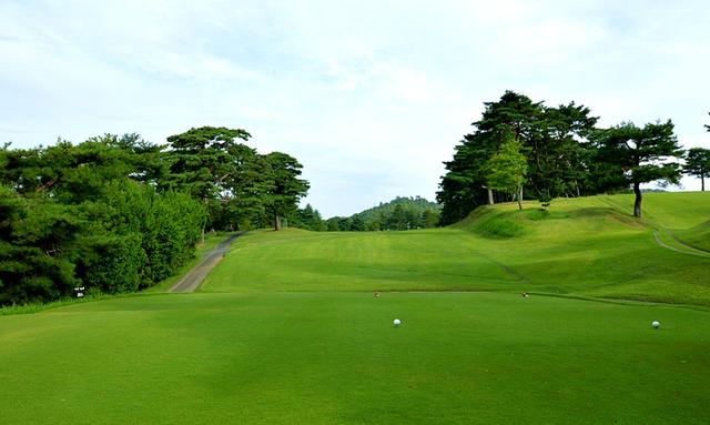 画像: 唐沢GC唐沢C2番(285Y・P4)
