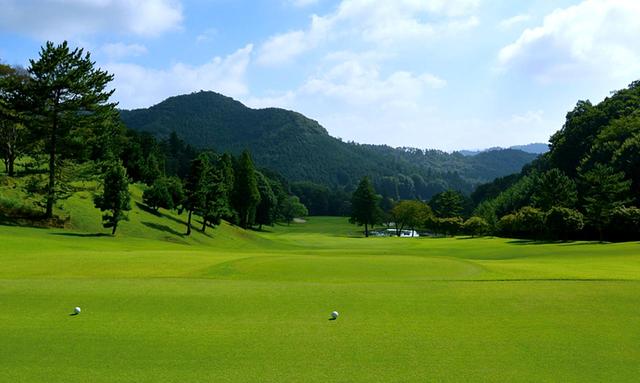 画像: 唐沢GC三好C13番(444Y・P4)