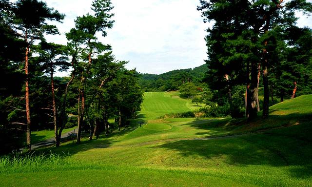 画像: 唐沢GC唐沢C18番(470Y・P5)