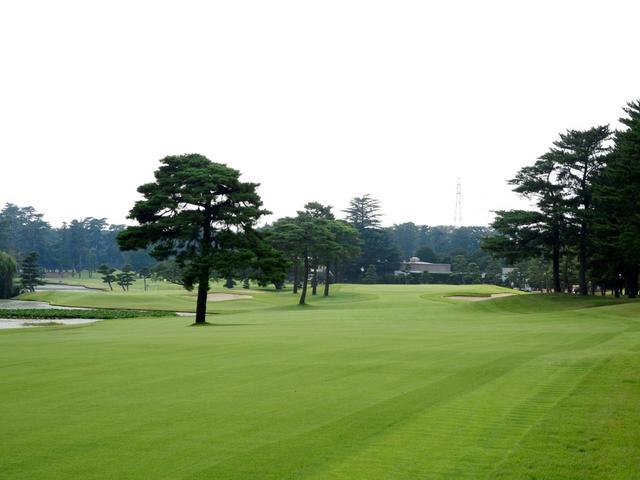 画像: 12番ホール/495㍎/パー5(牛の散歩)コース全体が左に傾斜している。左に池もあるので、レイアップして攻めよう