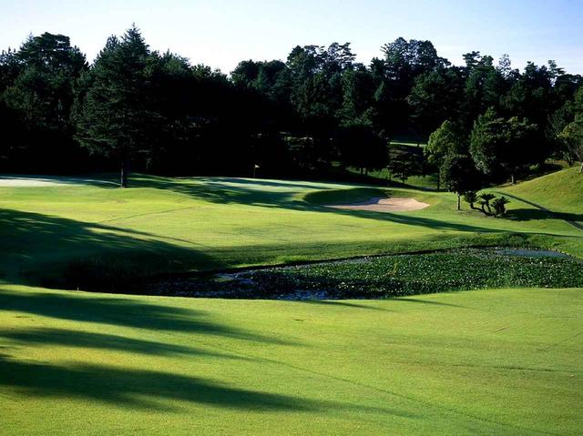 画像: セントラルGC 東コース2番(215Y・P3)