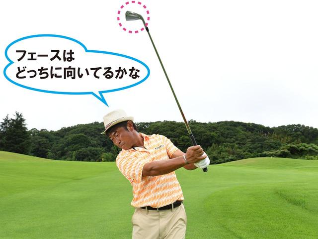 画像: フェースは顔を向く