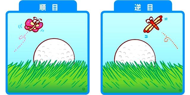 画像: 【そのニ】芝目(芝がどちらに倒れているか)