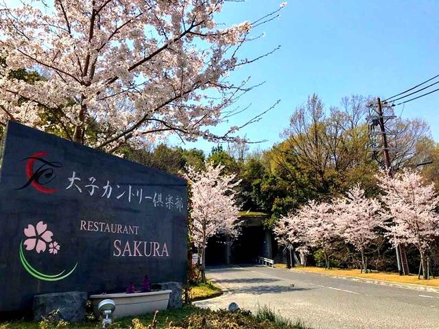 画像: 桜の季節には公道からのアプローチが桜並木に(Ph/TaishiCC FB)
