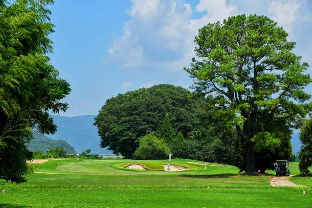画像: 15番(161Y・P3)ティーングエリアから見たグリーンとお宮の森