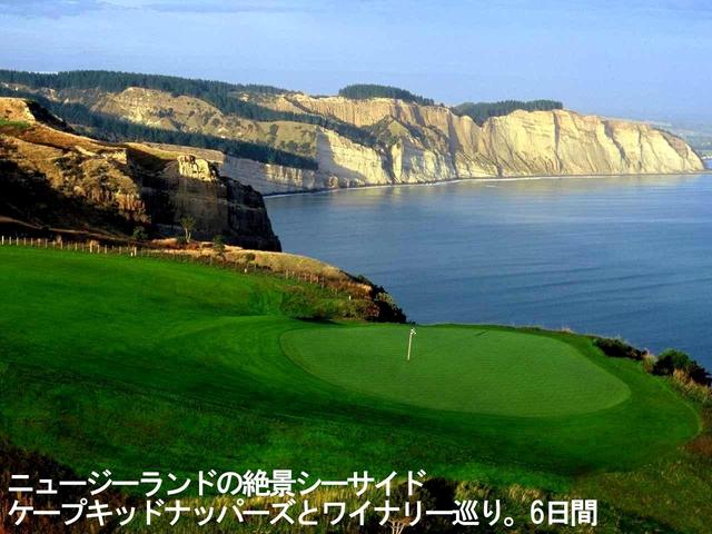 画像: 【ニュージーランド】