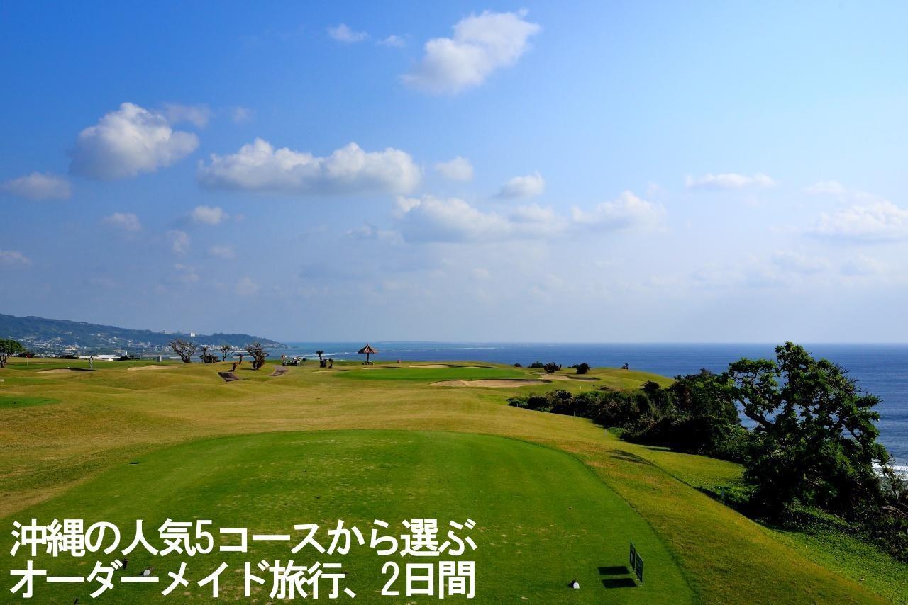 画像2: 【国内/沖縄】