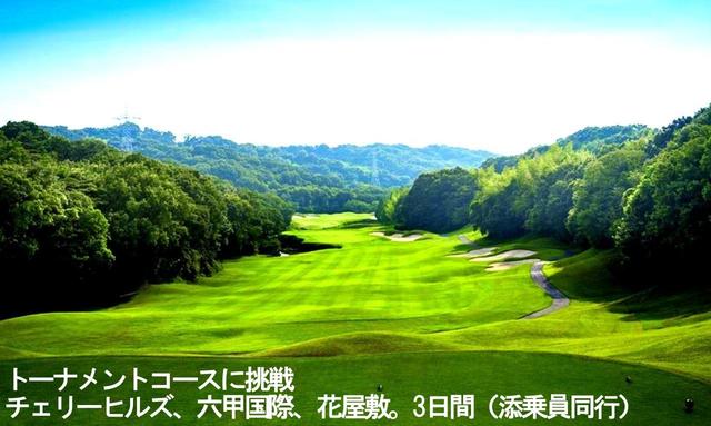 画像2: 【国内/本州】
