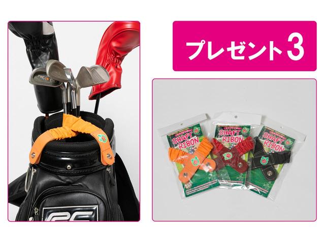 画像: バッグの中身を守る強い味方!
