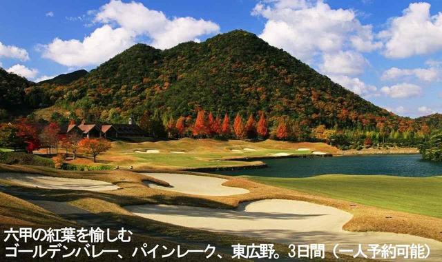 画像1: 【国内/本州】