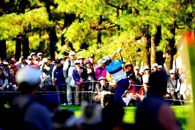 画像: 松の木に囲まれた難度の高いホールが続く。ダンロップフェニックスより