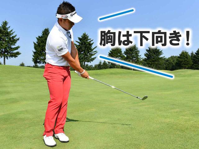 画像: 池村プロはトン・コロコロ