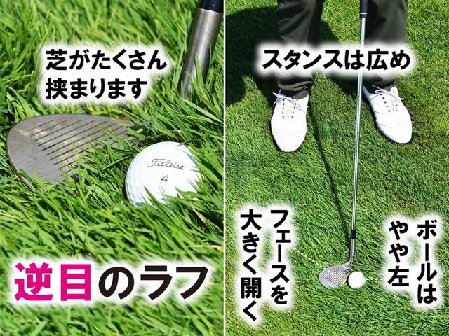画像: 逆目では芝に負けないように大きくゆっくり振る