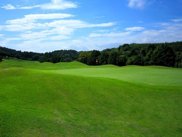 画像3: 3番(548Y・P5)