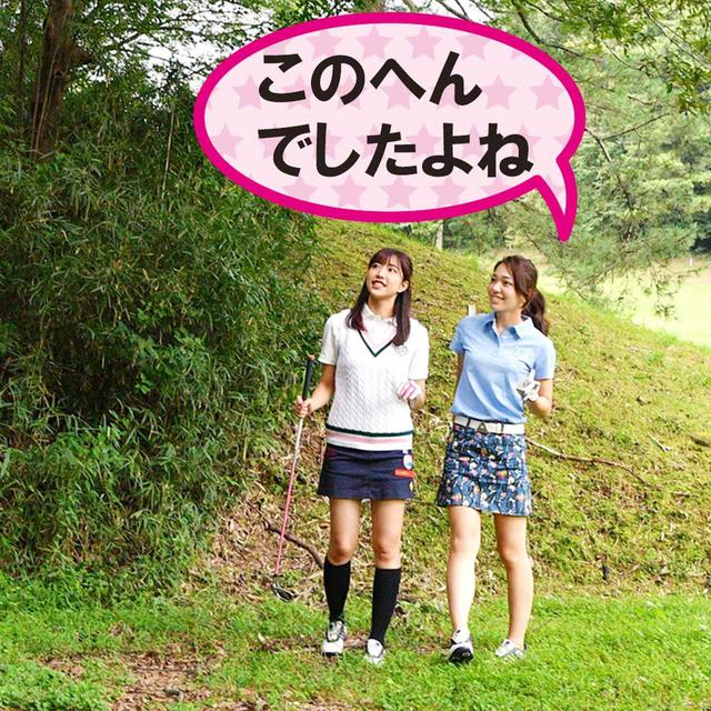 画像1: 【新ルール】動物の足跡は動物の穴? 救済できる、それともできない?