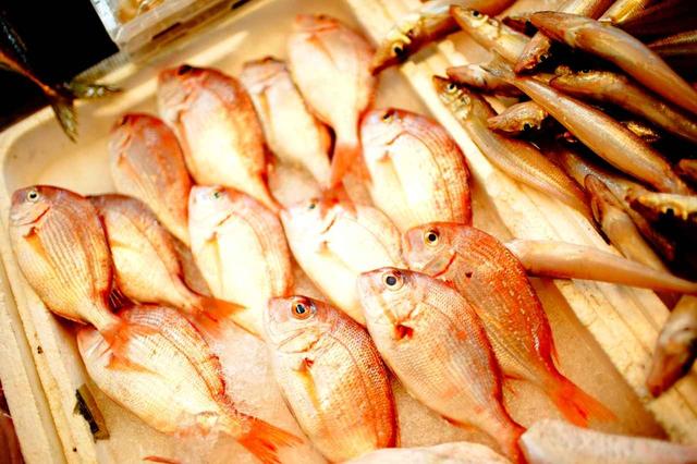 画像: 唐津のシンボル「玄海の真鯛」