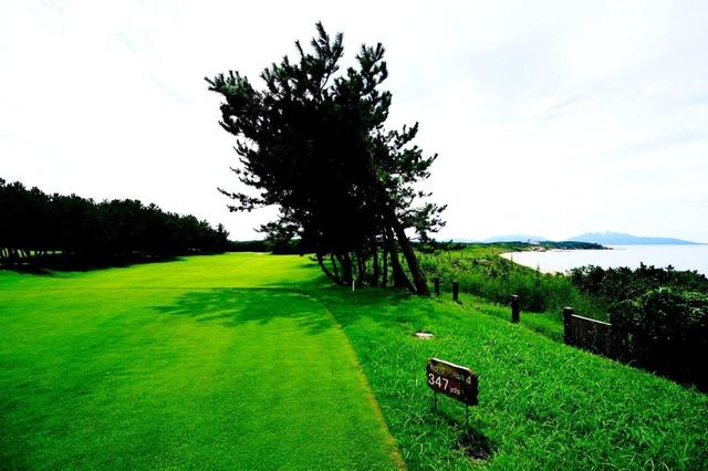 画像1: 7番・468Y・P4 右手は若松北海岸、海風が吹く長いホール(347Y表示はゴールドティ)