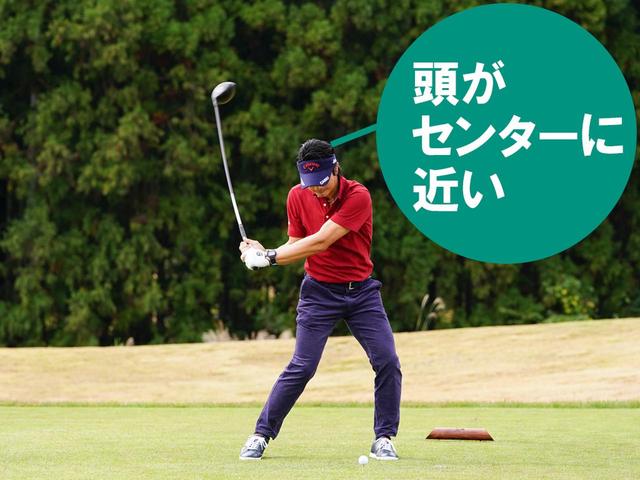 画像: 下の写真と比べると、わずかに頭が左に移動している