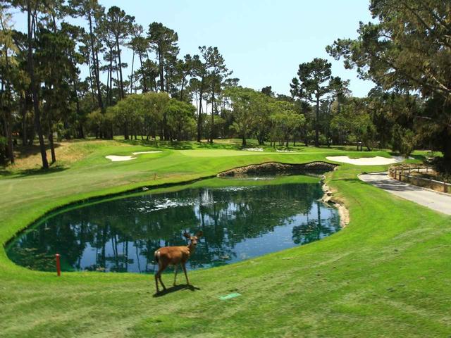 画像1: スパイグラスヒル・ゴルフコース(Spyglass Hill Golf Course)