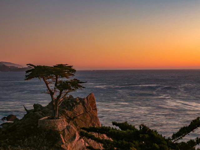 画像: ペブルビーチGLのマークにもなっている、モントレー半島のシンボル“The Lone Cypress”