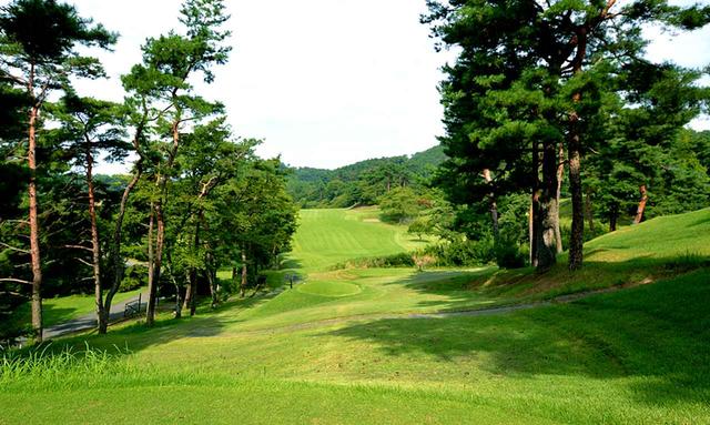 画像3: 唐沢ゴルフ倶楽部(三好コース18H・6934Y・P72、唐沢コース18H・6201Y・P72)三好は和泉一介、唐沢は陳清水が設計