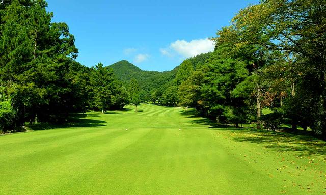 画像2: 唐沢ゴルフ倶楽部(三好コース18H・6934Y・P72、唐沢コース18H・6201Y・P72)三好は和泉一介、唐沢は陳清水が設計