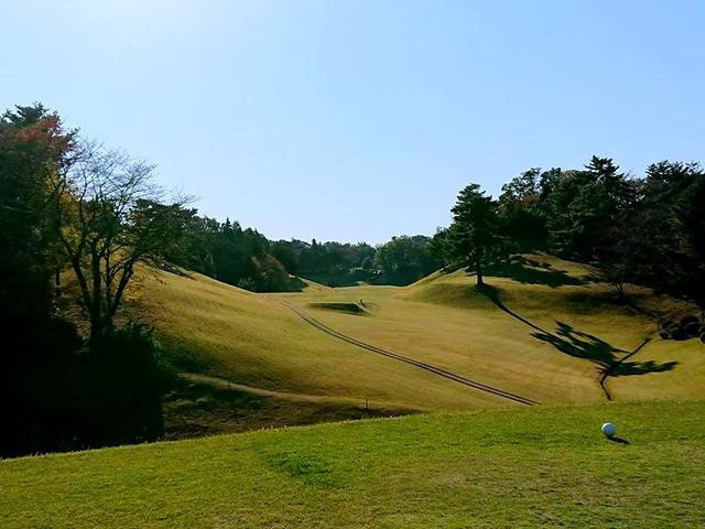 画像1: 東京国際ゴルフ倶楽部(18H・6615Y・P72)小田急線唐木田駅よりタクシー3分