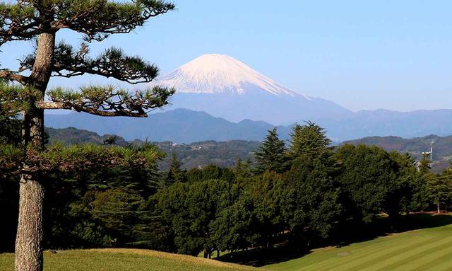 画像2: 平塚富士見カントリークラブ (平塚コース18H・6685Y・P72、大磯コース18H・6685Y・P72)、36ホールの丘陵コース