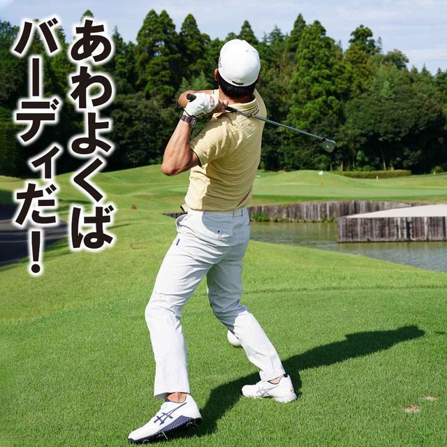 画像2: TPCソーグラス17番の浮島グリーンは短いパー3の典型