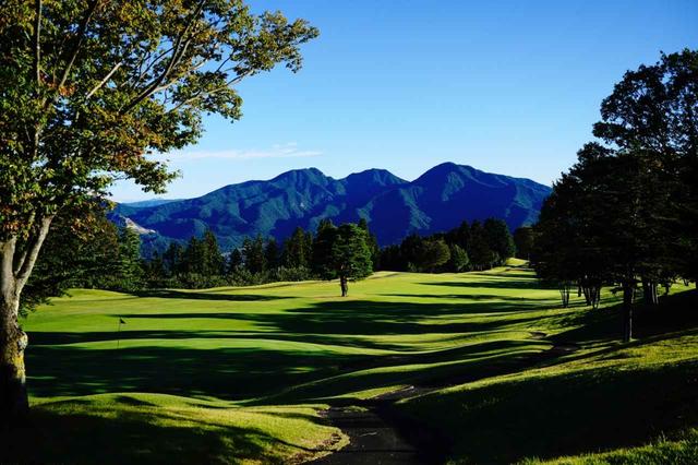 画像: コースは前も後ろも絶景だらけ