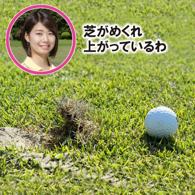 画像3: 【新ルール】めくれ上がった芝を押さえつけた。これって罰あり?