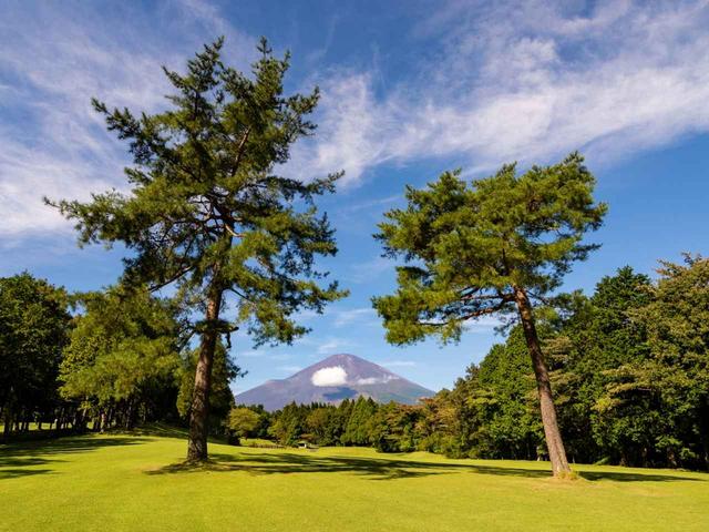 画像: 丹沢コース 7番ホール(373Y・P4)2本松の間に富士山