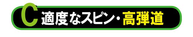 画像3: ツアーB JGR HF3