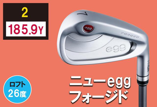 画像2: 180ヤード以上飛んだモデル