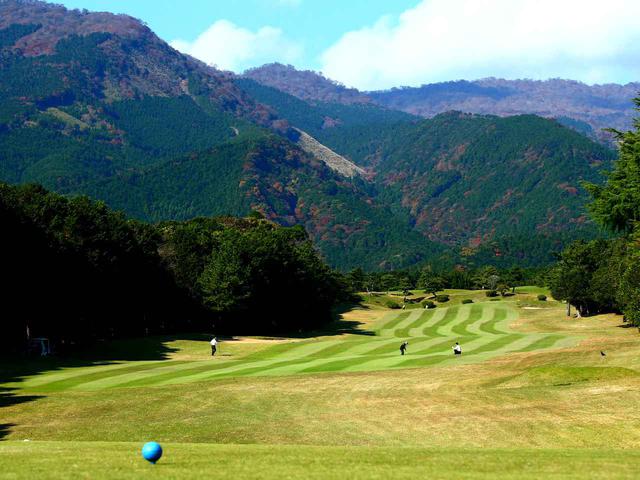 画像2: 沼津国際CC(富士・箱根6766Y、箱根・天城6565Y、天城・富士6615Y)開場は1975年