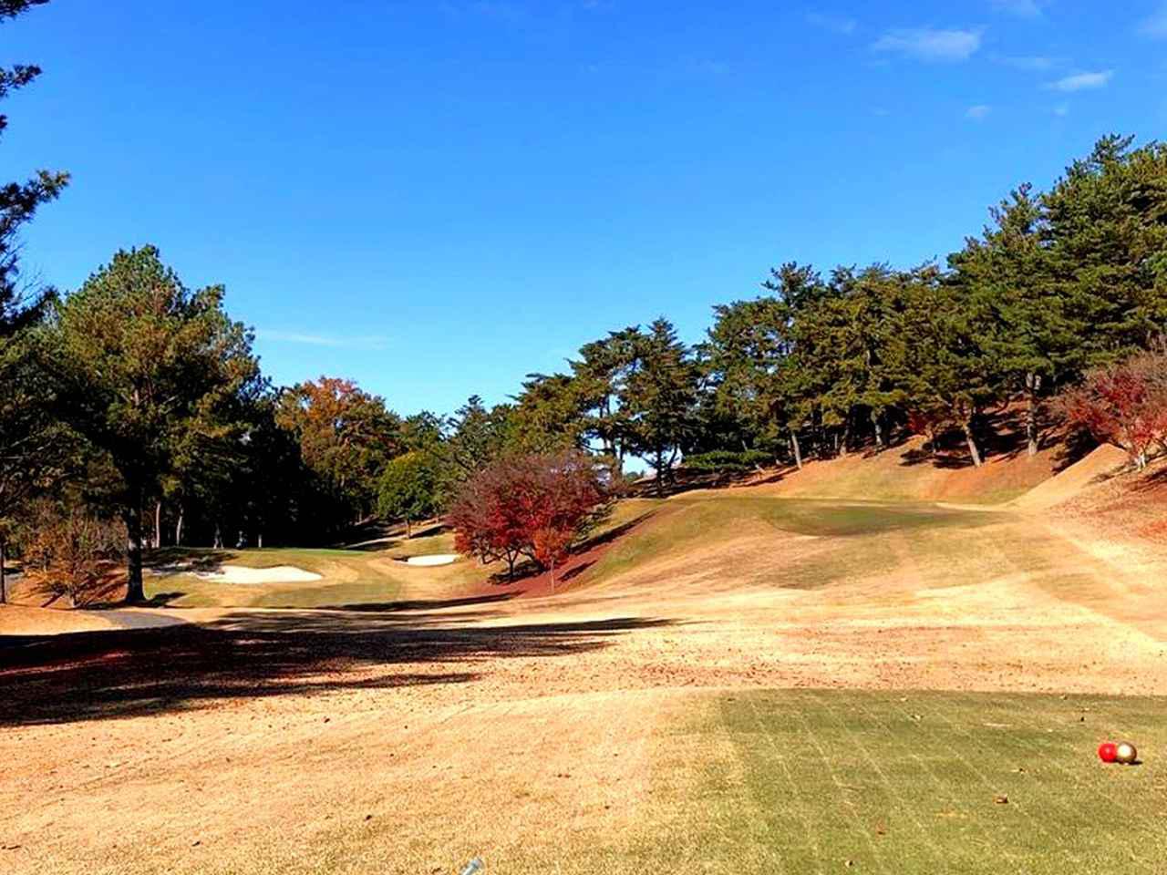 画像: 西16番ホール/195㍎/パー3 右の段上がメイングリーン。左に落としたら大叩きの名物ホール