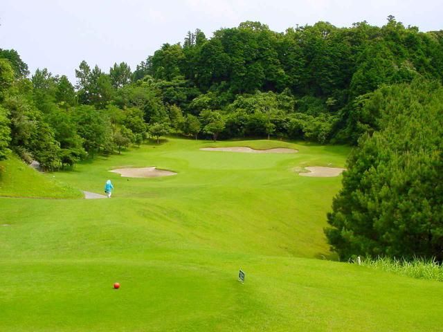 画像: 14番(184Y・P3)2段のグリーン